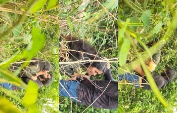 Famous Mallu SR Youtuber Cpl Blowjob and OutDoor Fucking (Updates)